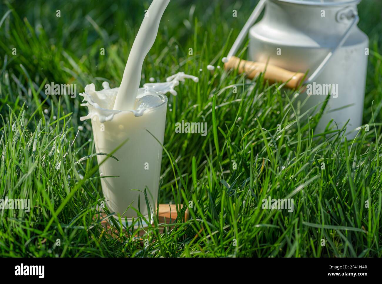 Gießen Sie frische Milch in Glas. Glas ist auf dem grünen Gras an sonnigen Sommertagen. Stockfoto