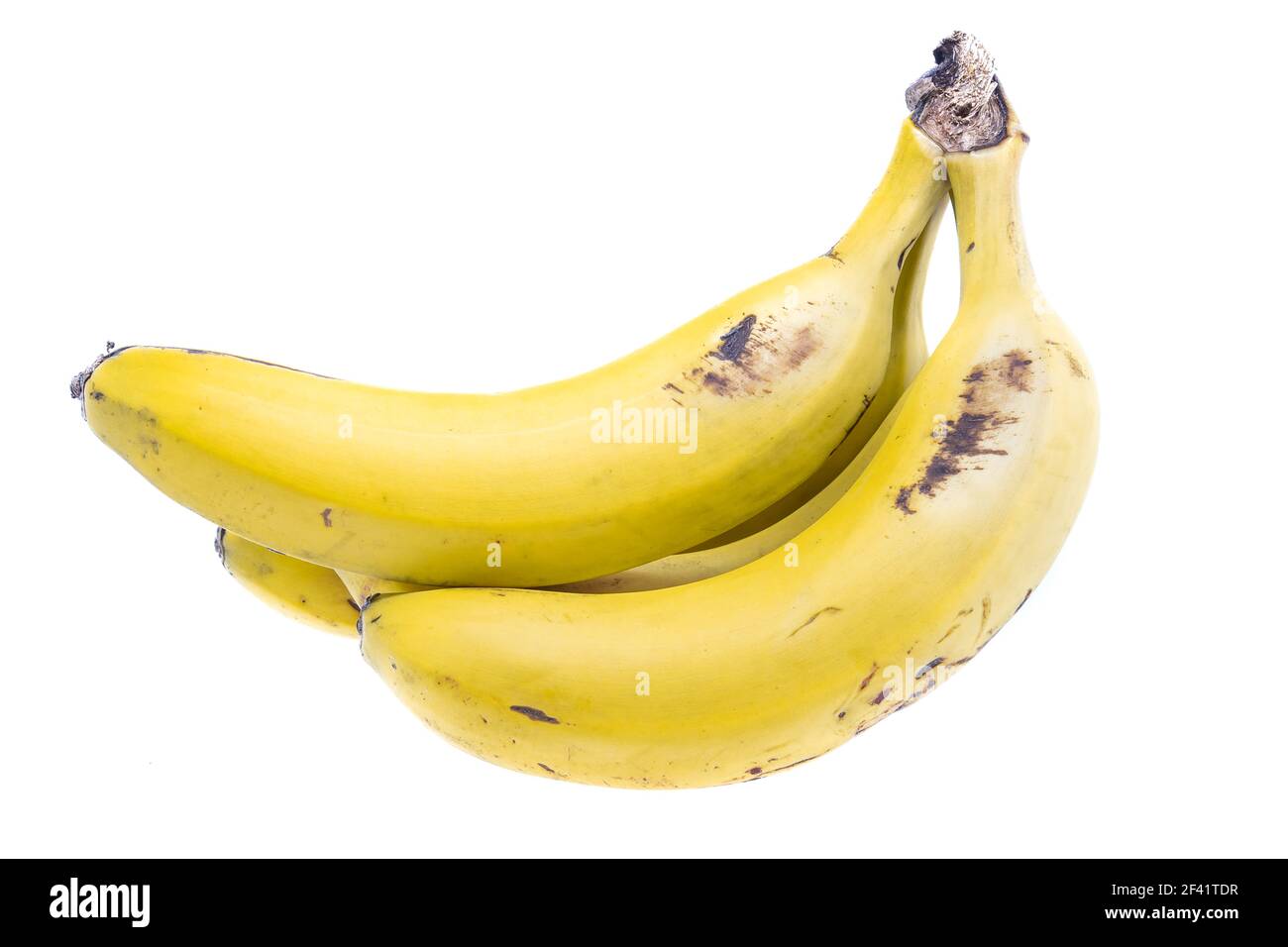Bio reife gelbe Kanarische Bananen von der Insel La Palma. Platano de Canarias geben Bananen Stockfoto