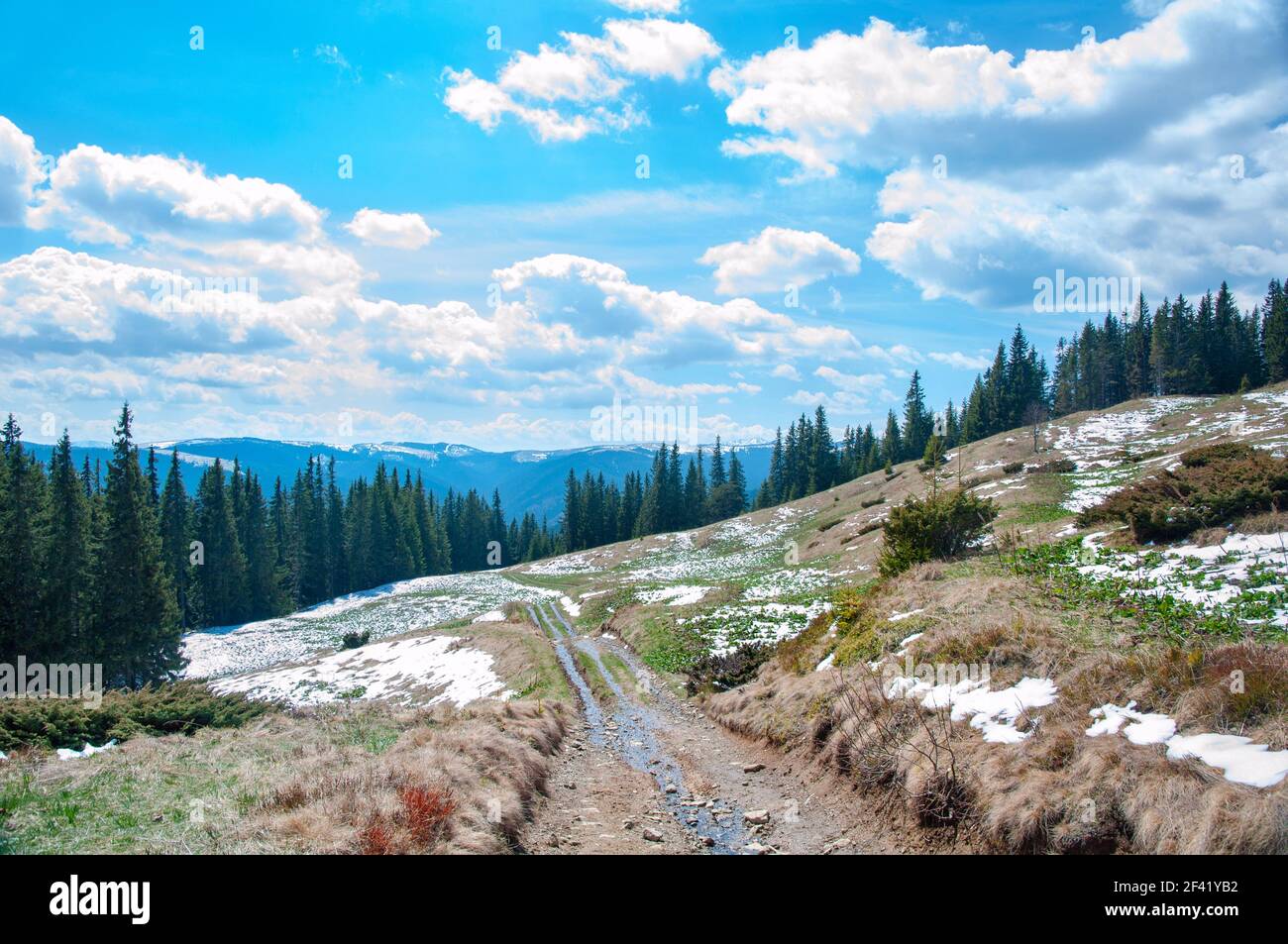 Frühlingslandschaft mit Bergen, grünen Fichtenwäldern und blauem Himmel mit Wolken Stockfoto