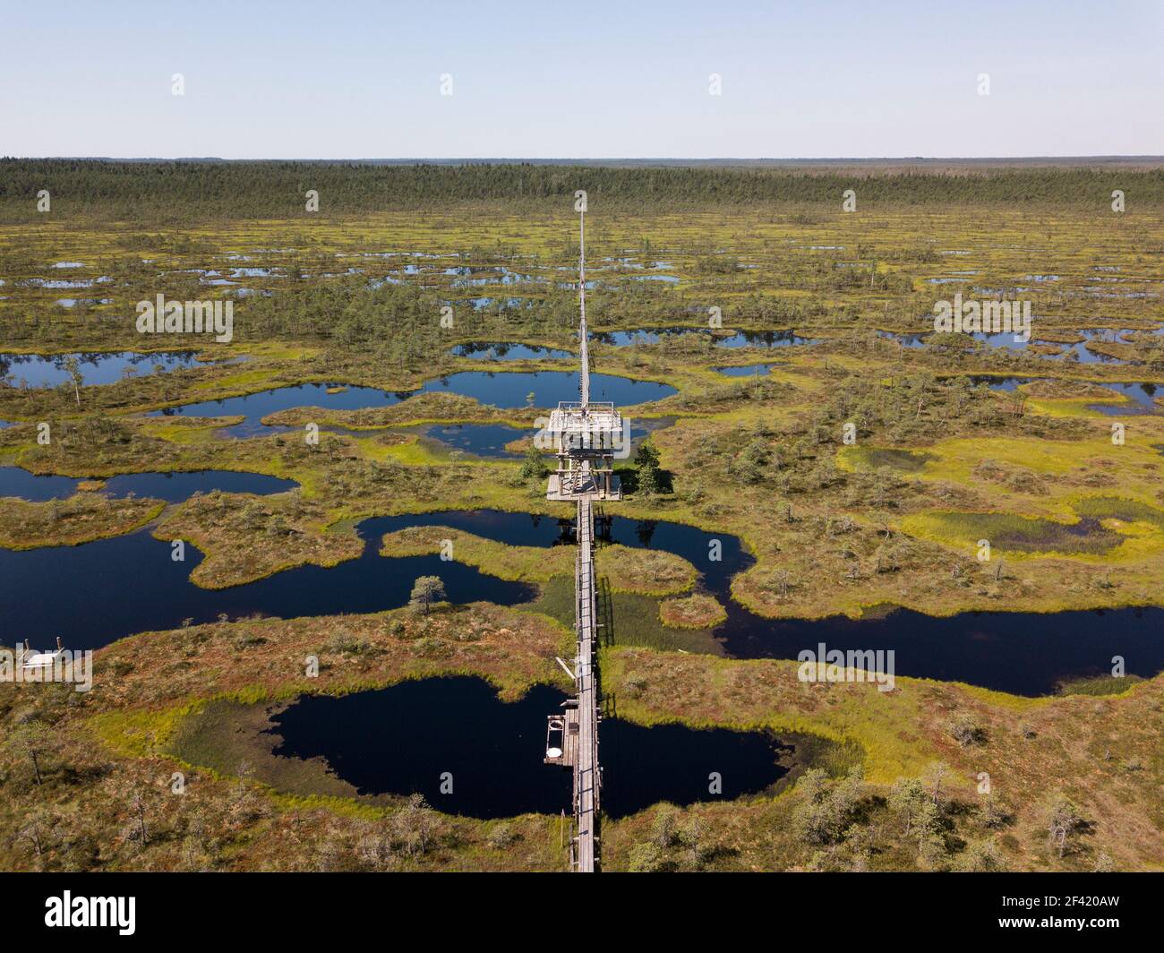 Naturschutzgebiet Endla in Estland Stockfoto
