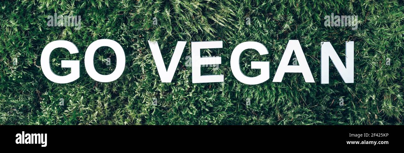 Wort gehen vegan auf Moos, grünes Gras Hintergrund. Draufsicht. Speicherplatz kopieren. Banner. Biophilie-Konzept. Naturkulisse Stockfoto