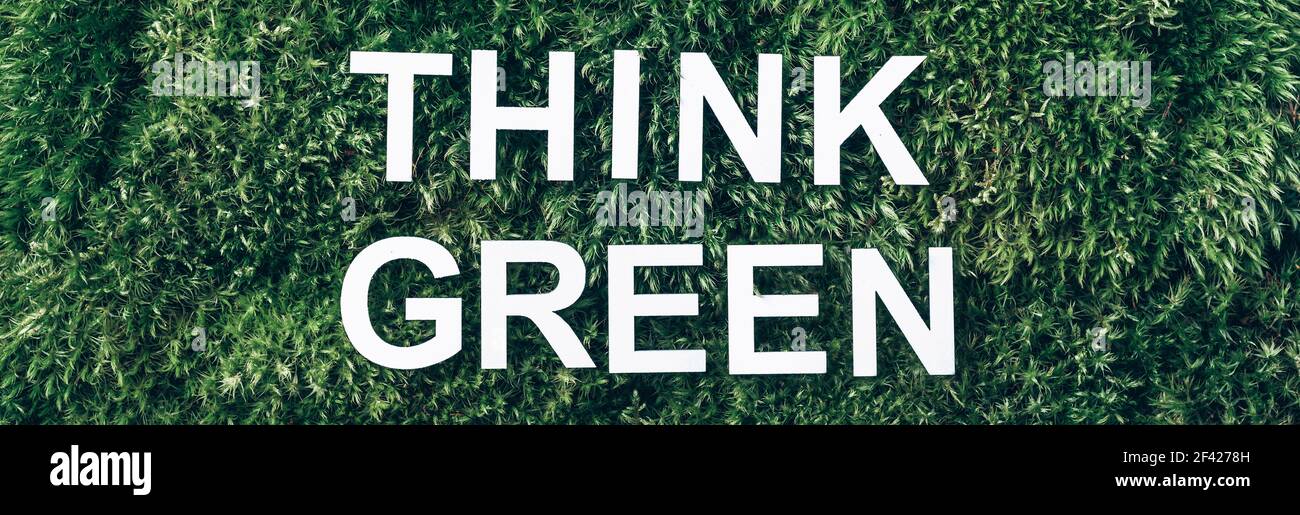 Inschrift denken grün, Leben grüne Wörter auf Moos, grünes Gras Hintergrund. Draufsicht. Speicherplatz kopieren. Banner. Biophilie-Konzept. Naturkulisse Stockfoto