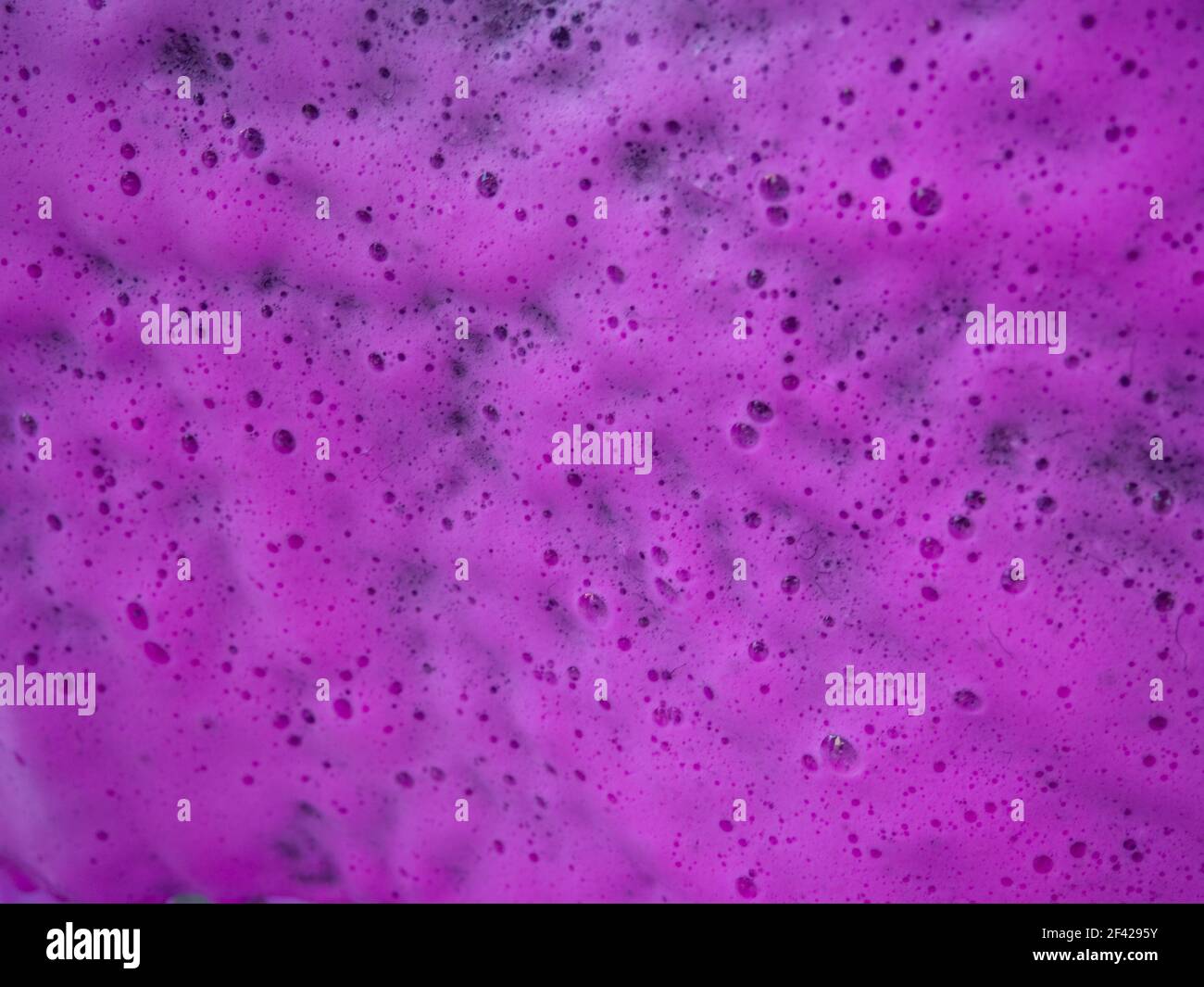 Schöne rosa und magenta Seife Hintergrund mit Wellen und Schaum Stockfoto
