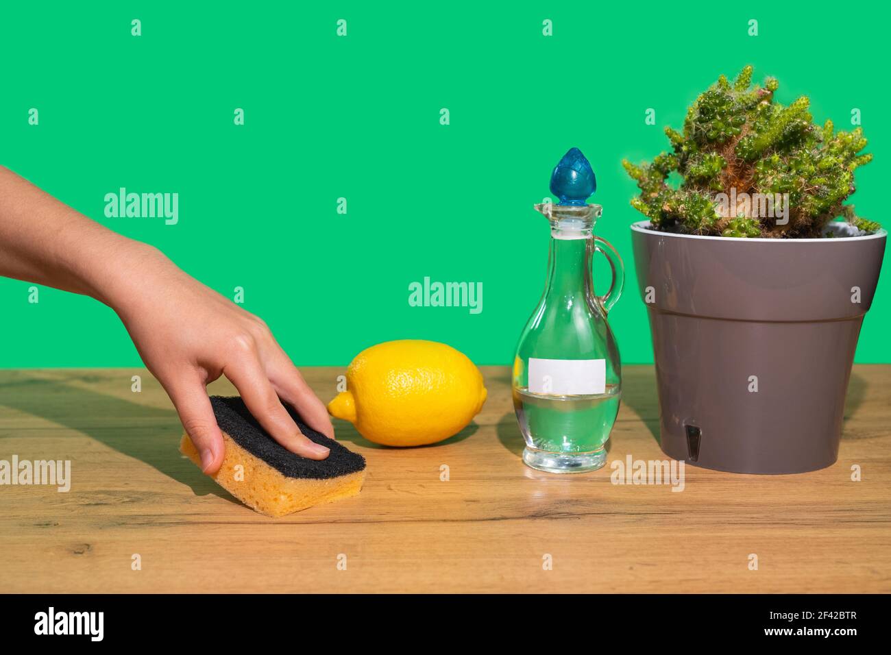 Eine Frauenhand wischt einen Holztisch mit einem Schwamm und einem natürlichen ungiftigen Mittel ab. Ökologische Hausreinigung Produkte. Essig, Zitrone. Grüner Hintergrund. Stockfoto