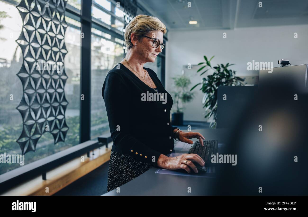 Leitende Geschäftsfrau, die am Stehtisch arbeitet. Angestellte, die am ergonomischen Stehtisch am Desktop-Computer arbeitet. Stockfoto