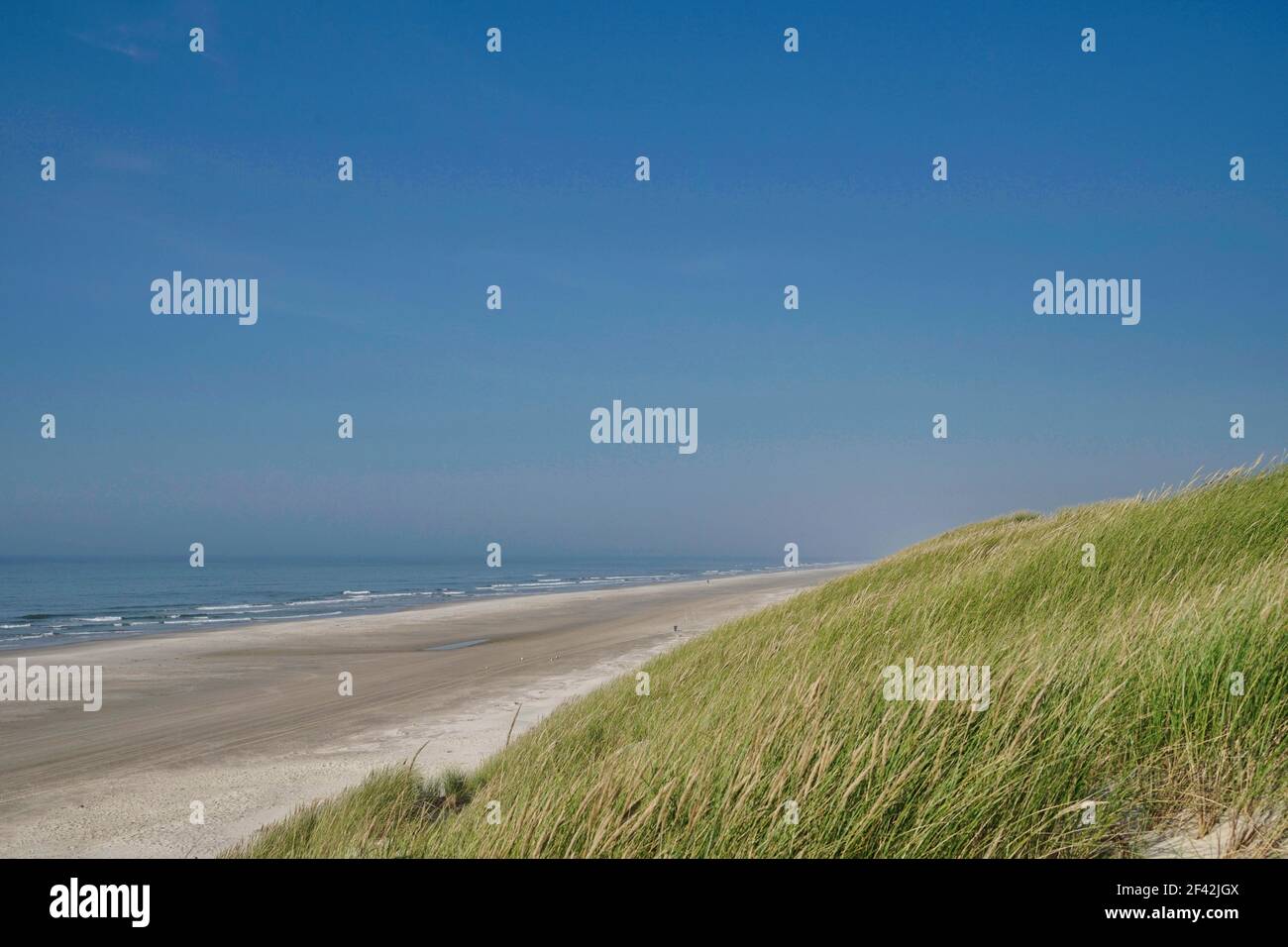 Henne Strand mit Meer, Düne und Horizont an sonnigen Tagen, Jütland, Dänemark Stockfoto