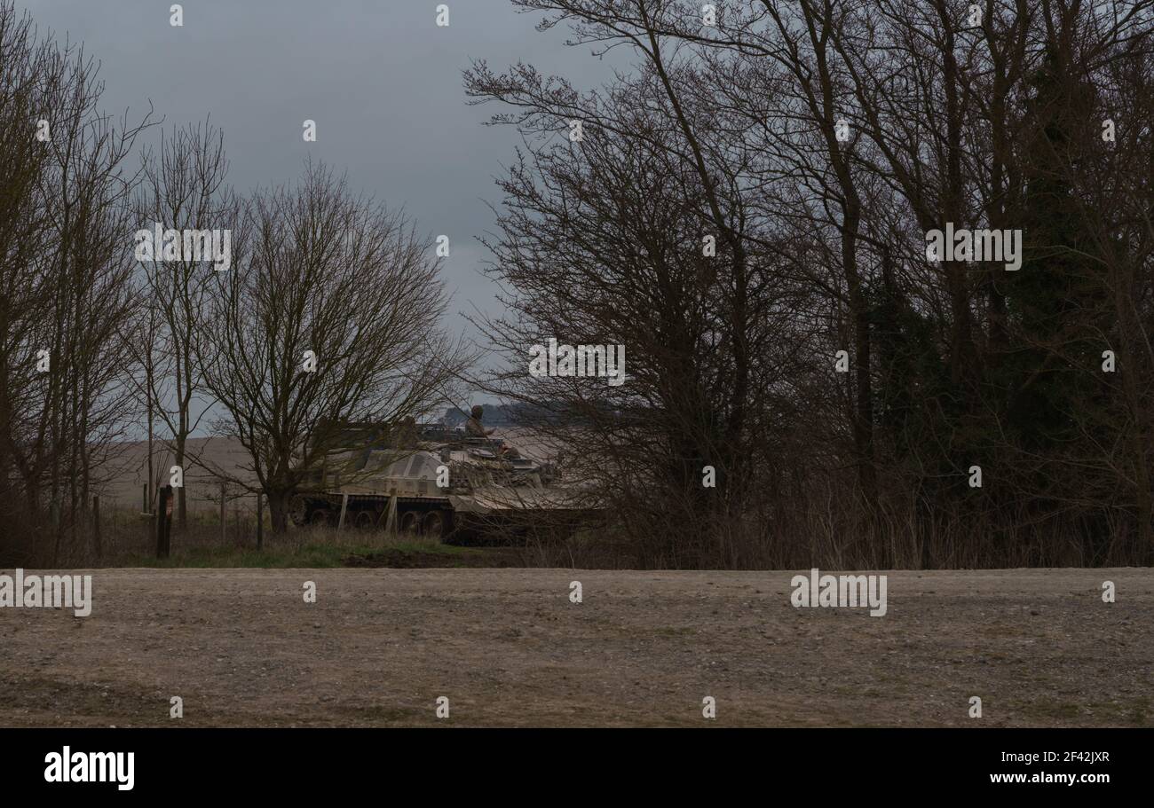 Challenger Armored Repair and Recovery Vehicle (CRARRV kann über 70 Tonnen Tanks schleppen) Deckung hinter hohen Büschen bei einer militärischen Trainingsübung Stockfoto