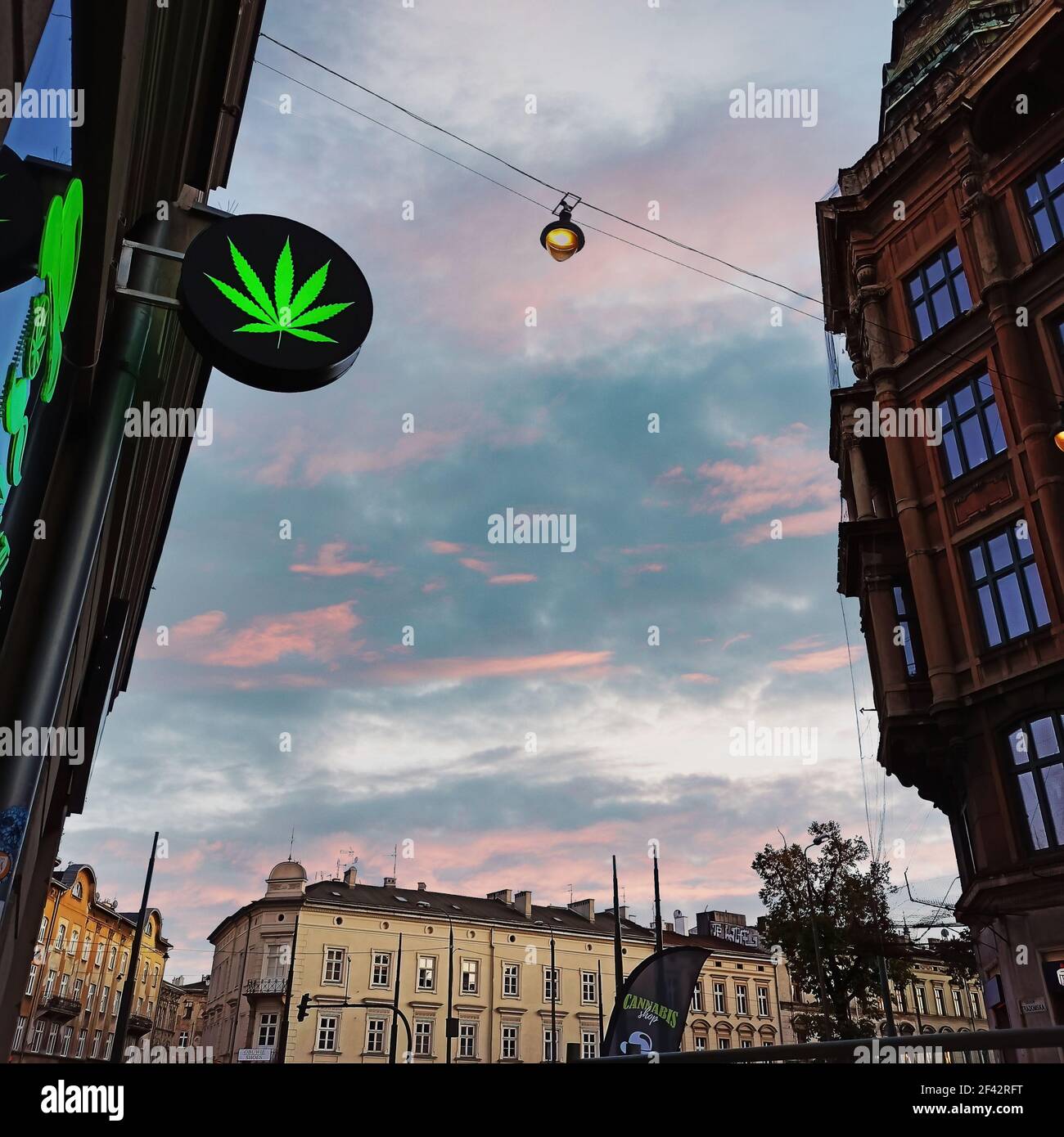 Krakau, Polen - 12. Oktober 2019: Ein Zeichen für das Cannabispflanzenlogo vor dem Cannabis Shop, einem legal tätigen Laden in der Stadt, der Hanf-Produkte verkauft Stockfoto