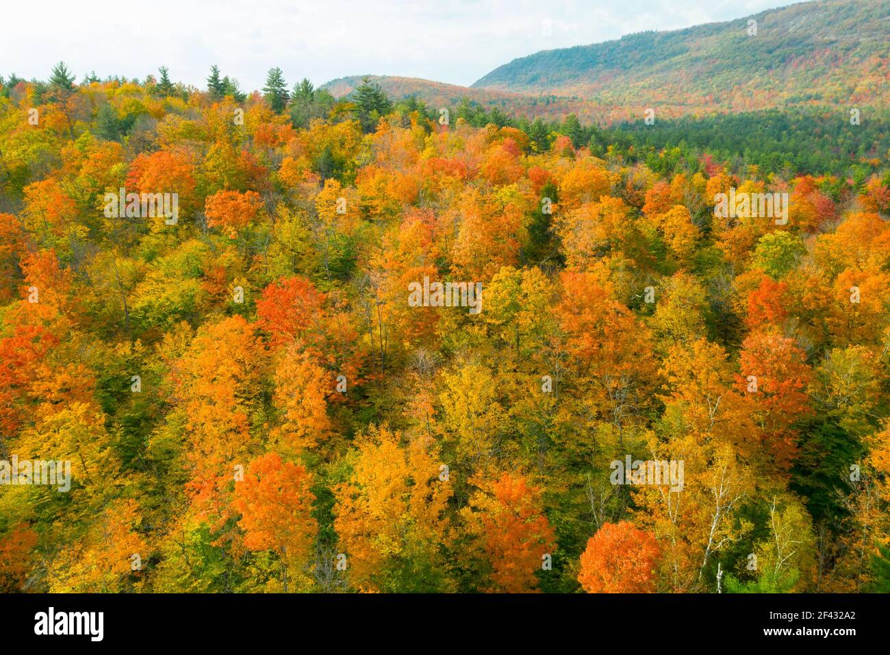 Bunter Herbstwald in Adirondacks von oben Stockfoto