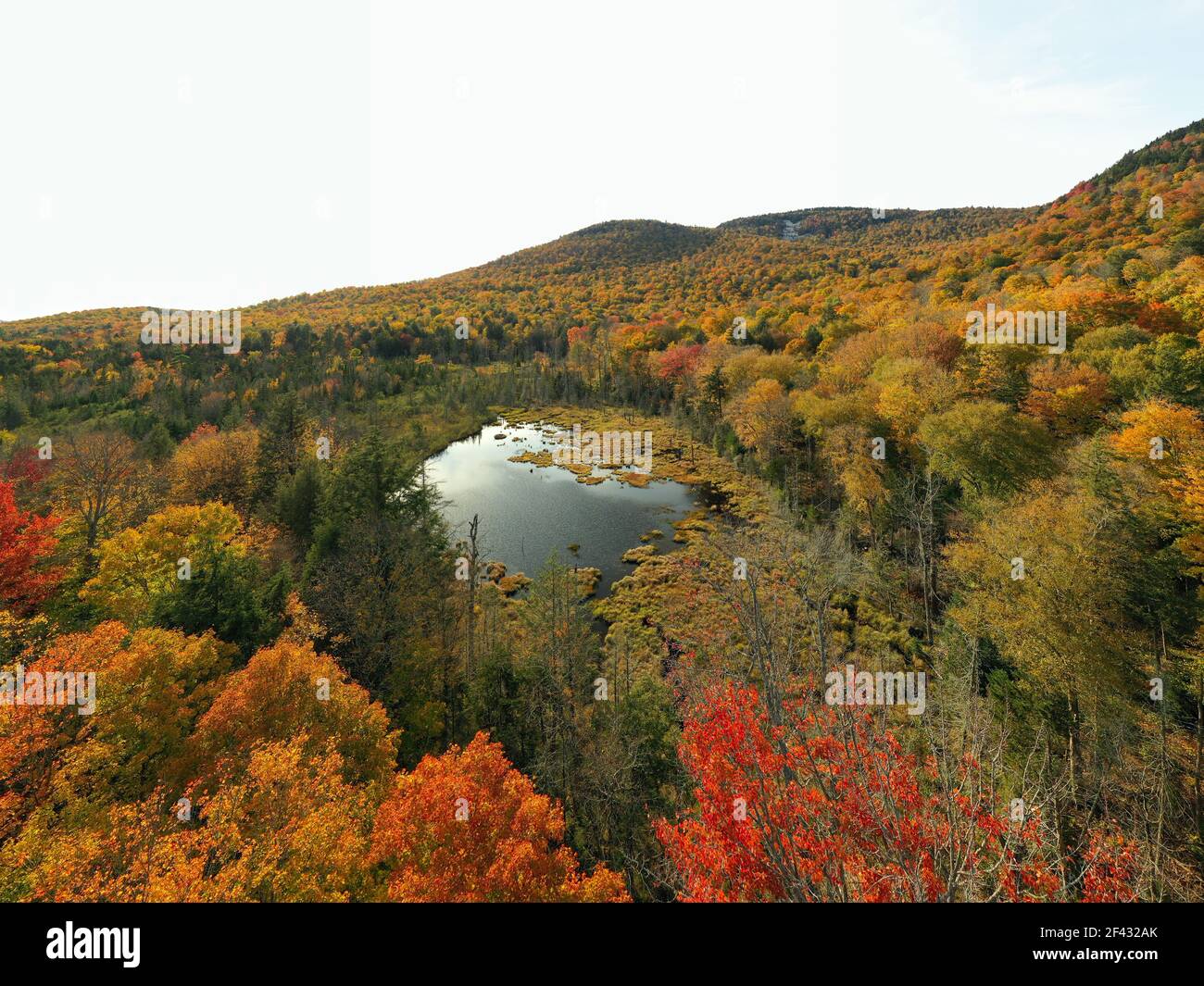 See im bunten Herbst Adirondack Wald von oben Stockfoto