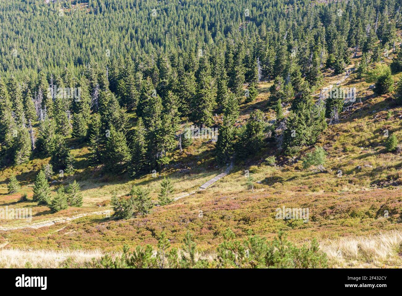 Bergweg nach Sniezne Kotly im Nationalpark Karkonosze Im polnischen Riesengebirge Stockfoto