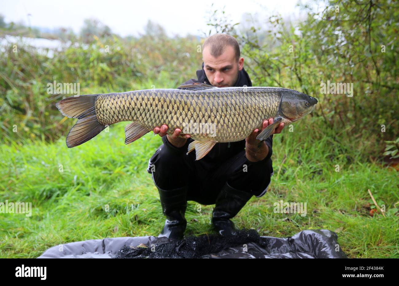 Angler fing einen großen Fisch und Posen für Fotos Stockfoto