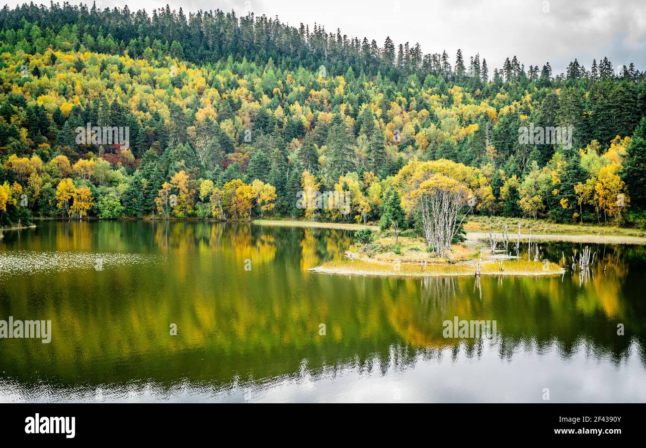 Potatso Nationalpark Blick mit Shudu See mit Insel und Wald mit Herbstfarben und Wasserspiegelung in Shangri-La Yunnan China Stockfoto