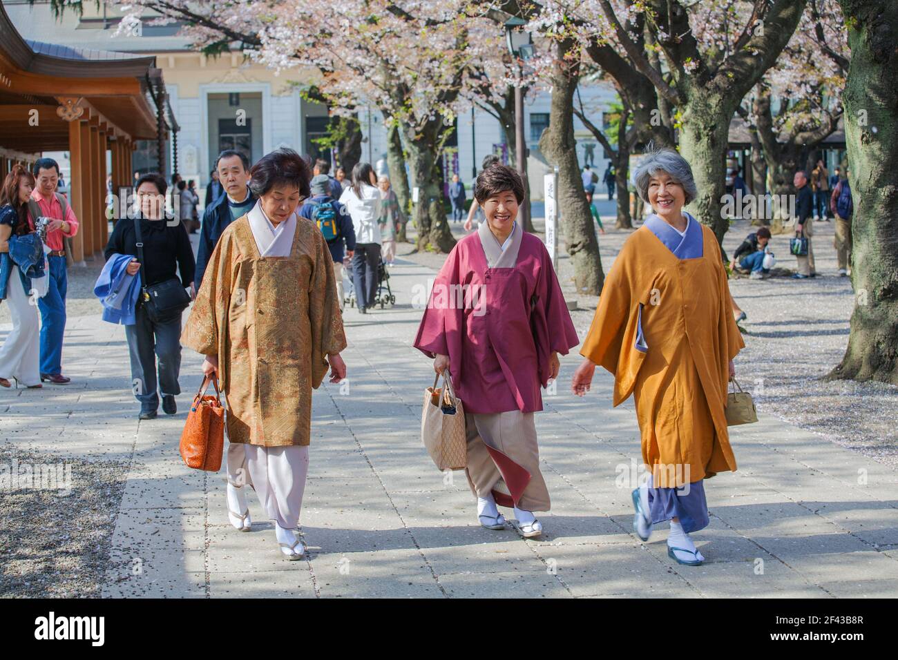 Elegante japanische Frauen tragen Michiyuki-Jacken im Yasukini-Schrein, um die Kirschblütensaison in Tokio, Japan, zu feiern Stockfoto
