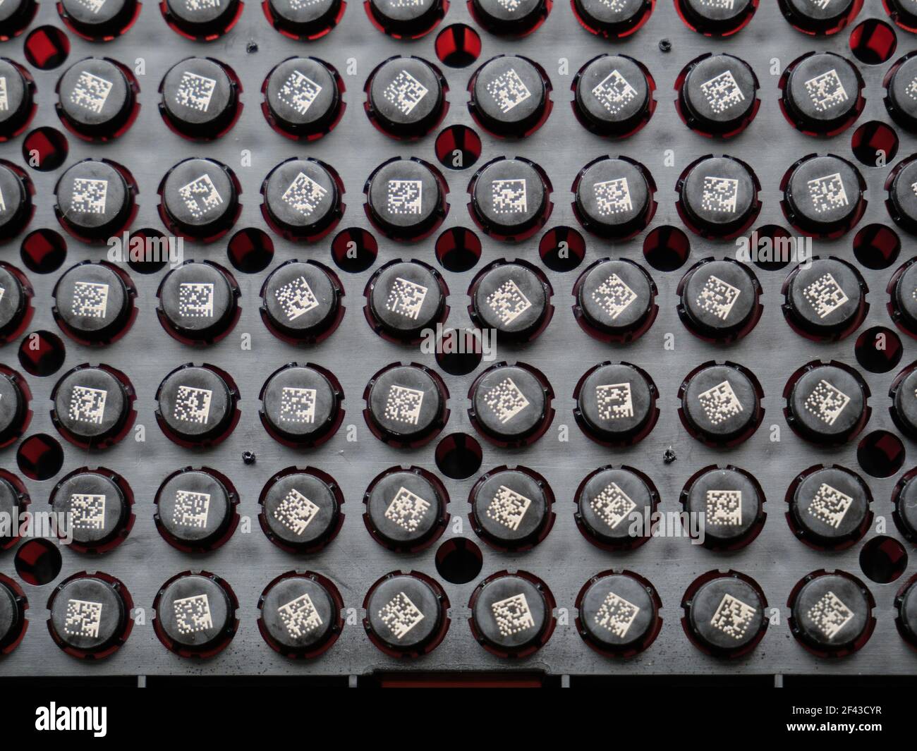 2D Probenröhrchen mit Barcode im Rack, Ansicht der Unterseite des Racks. Stockfoto