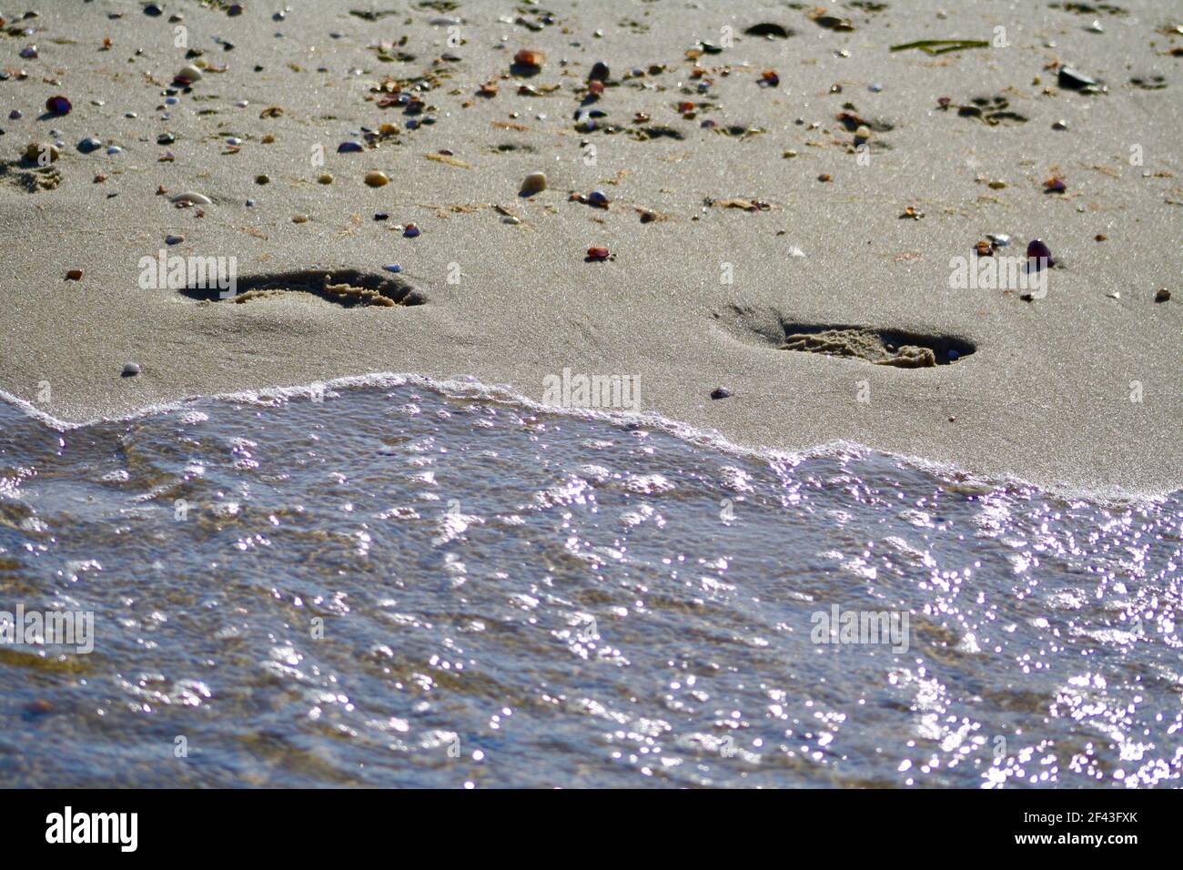 Fußabdrücke im Sand entlang der Küste mit schimmernden violetten Wellen und bunten Steinen, Gardiners Bay, East Hampton, Long Island, New York Stockfoto