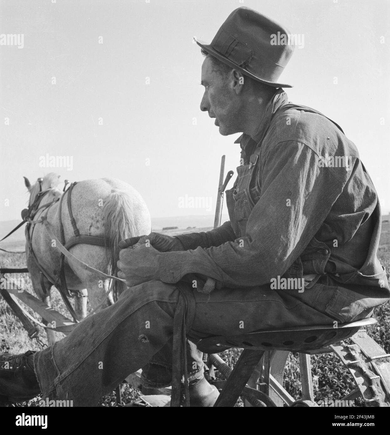 Herr Roberts, FSA (Farm Security Administration) Kreditnehmer. Owyhee-Projekt. Malheur County, Oregon. Oktober 1939. Foto von Dorothea lange. Stockfoto