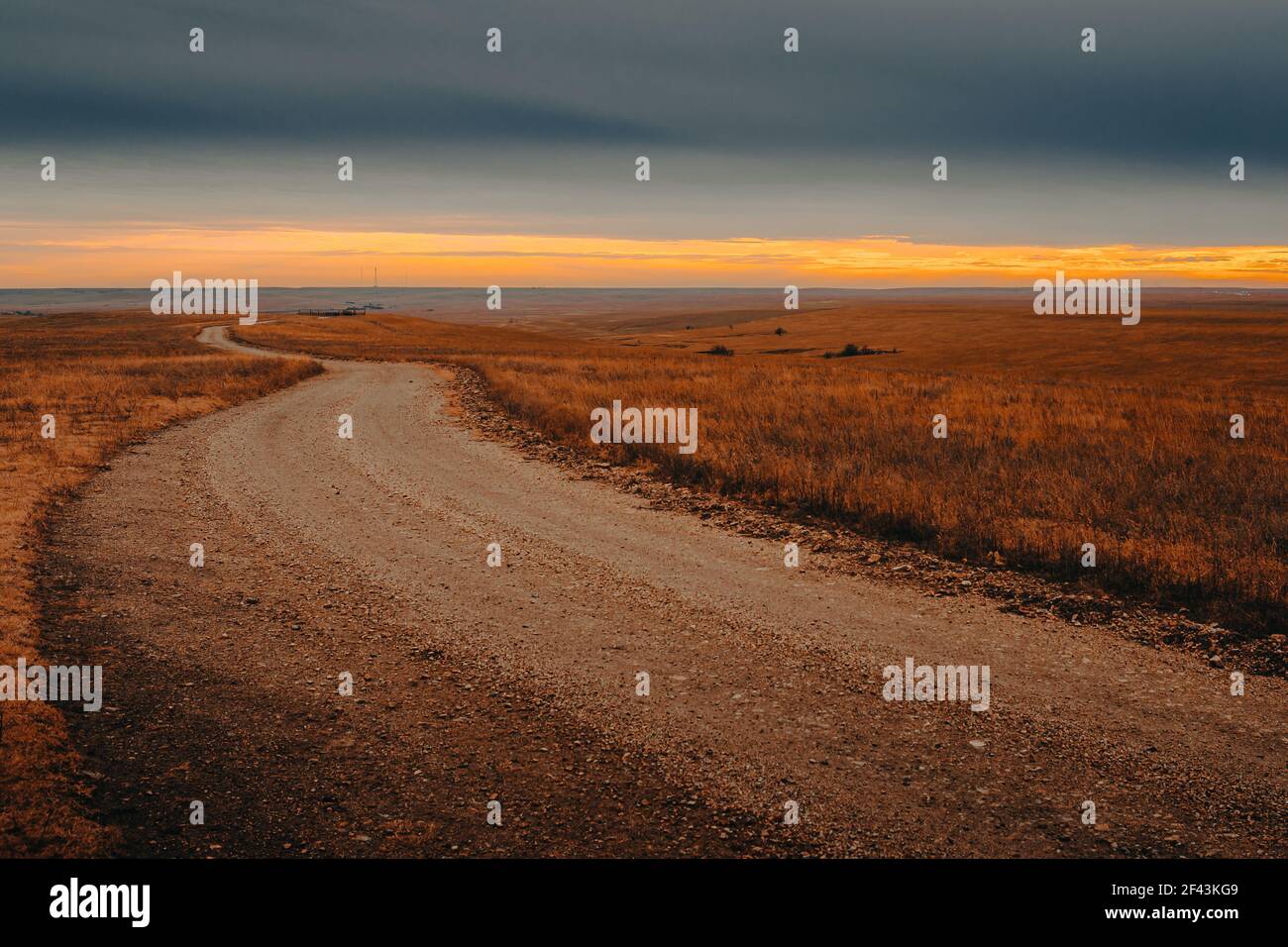 Leere Feldstraße in der Prärie, die in die führt Horizont bei Sonnenuntergang Stockfoto