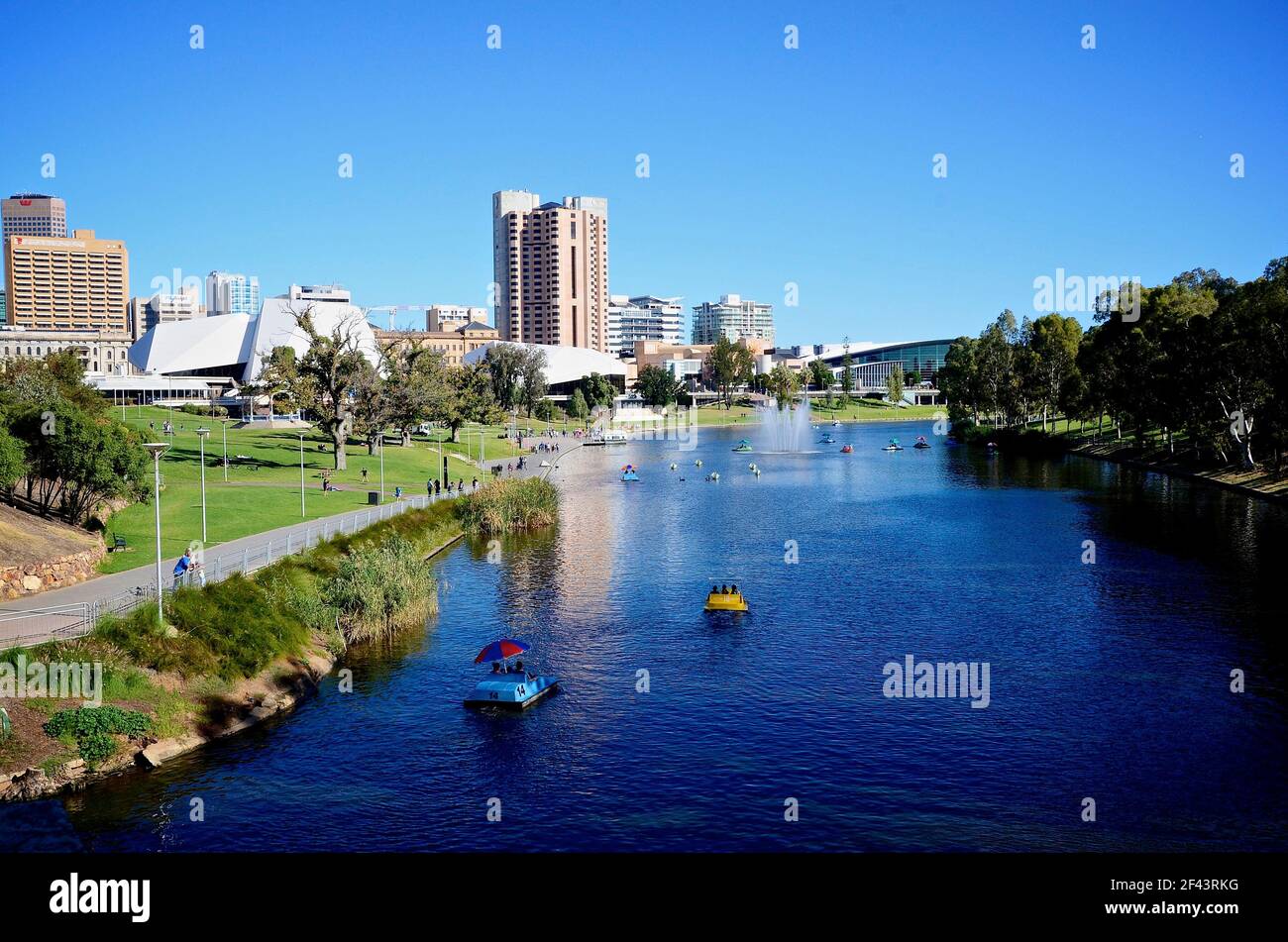 Blick auf den Elder Park in Adelaide und den Fluss Torrens verstreut Mit Paddelbooten Stockfoto