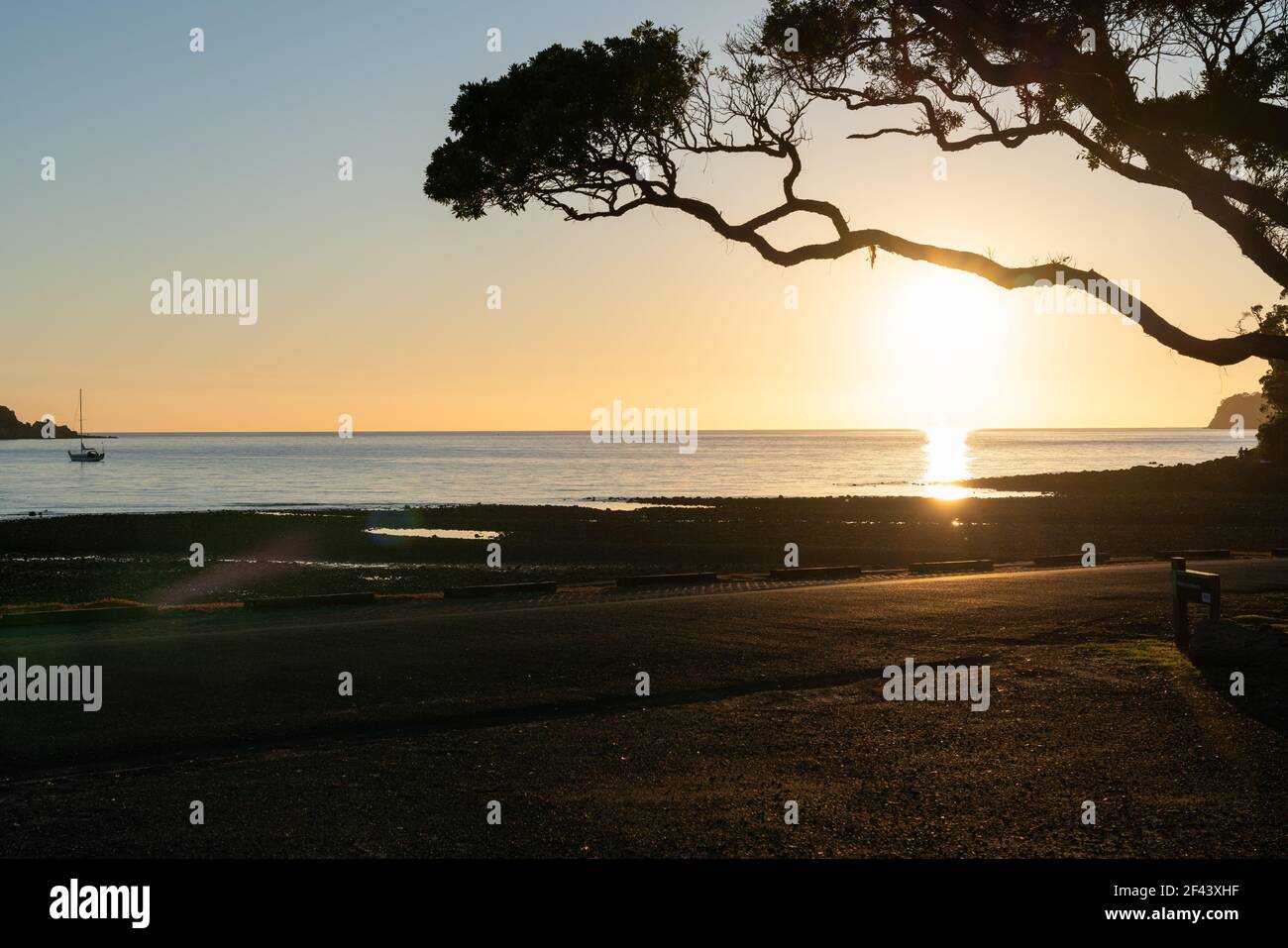 Pohutukawa Baum Zweig überhängenden Strand und Rahmensonne direkt über dem Horizont am Mulberry Grove Beach auf Great Barrier Island Neuseeland. Stockfoto