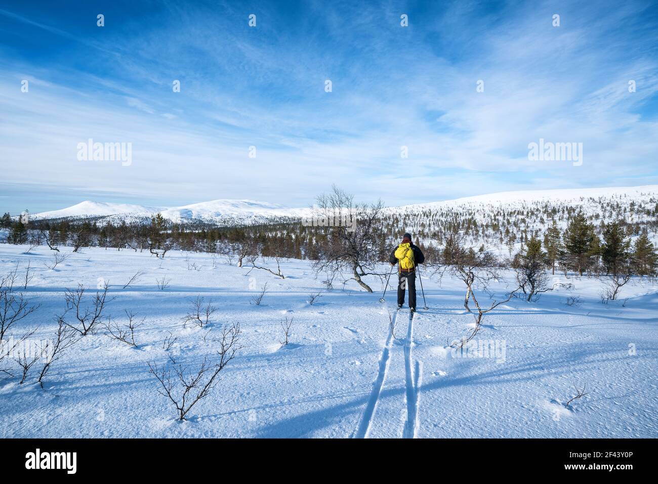 Skitouren im Urho-Kekkonen-Nationalpark, Sodankylä, Lappland, Finnland Stockfoto