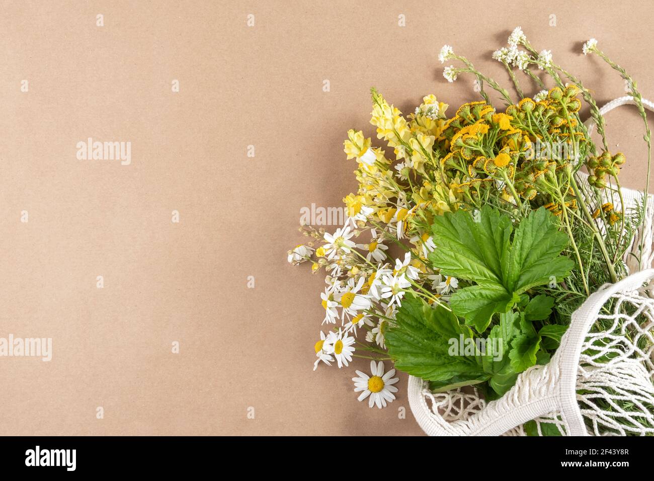 Bouquet von Feldblumen in Öko-Tasche auf beigem Hintergrund. Konzept kein Kunststoff und kein Abfall. Draufsicht Kopierbereich. Stockfoto