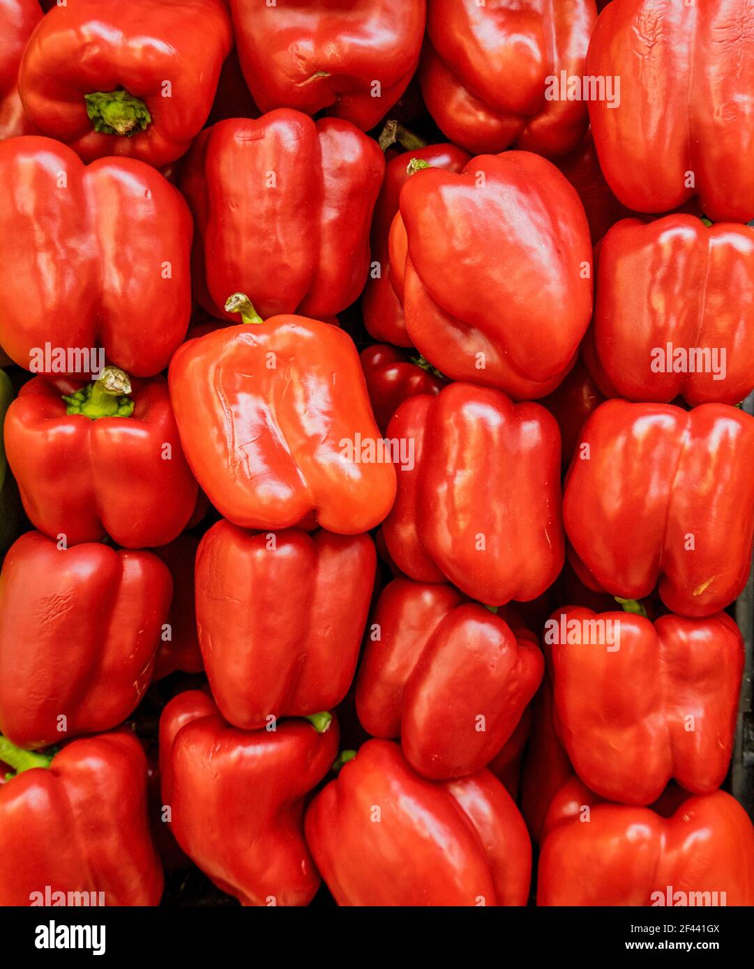 Paprika in einem Stapel bereit zum Verkauf. Stockfoto