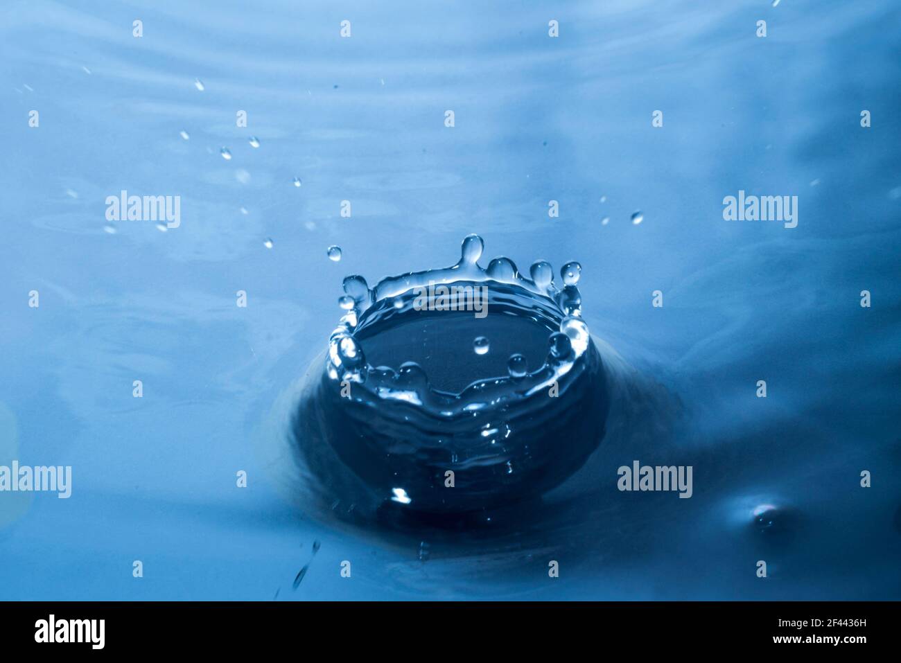 Wassertropfen. Blauer Wassertropfen. Wasserspritzer aus nächster Nähe. Stockfoto