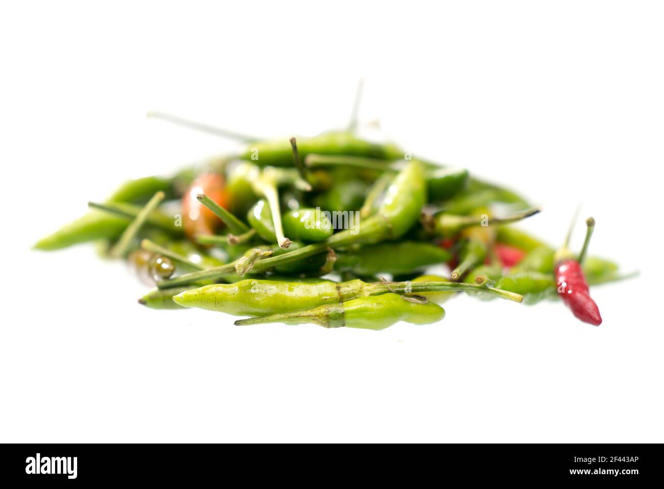 Grüne scharfe Chilischoten auf weißem Hintergrund isoliert , würziges Konzept , Capsicum annuum , Thai Pfeffer Stockfoto