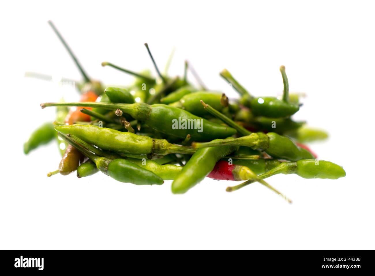 Grüne scharfe Chilischoten auf weißem Hintergrund isoliert , würziges Konzept , Capsicum annuum , Thai Pfeffer Stockfoto