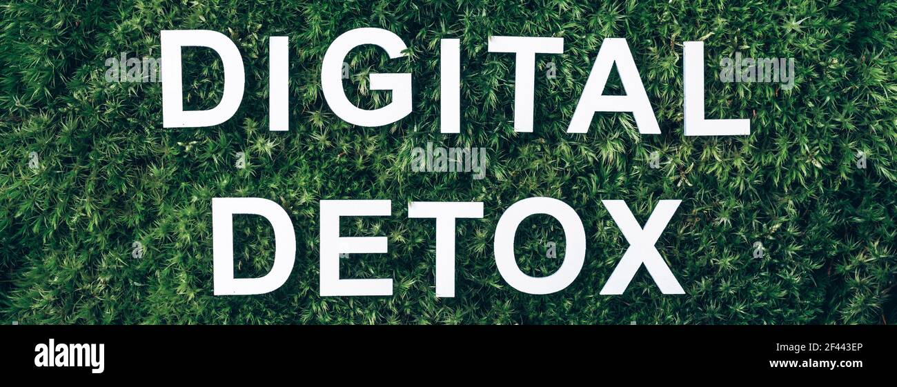 Inschrift Digital Detox auf Moos, grünes Gras Hintergrund. Draufsicht. Speicherplatz kopieren. Banner. Biophilie-Konzept. Naturkulisse. Digitale Entgiftung. Frei von Stockfoto