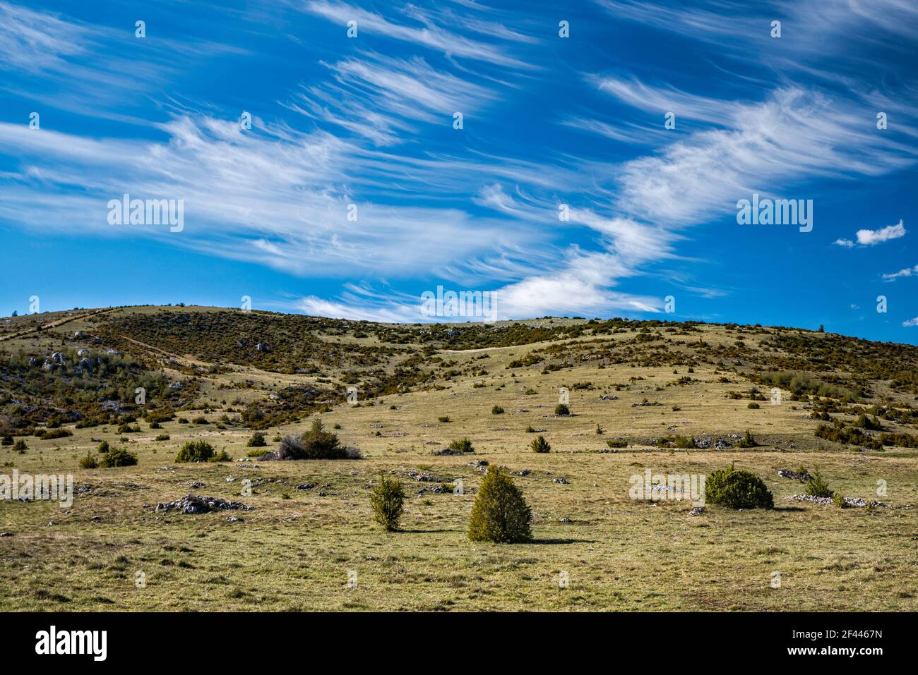 Hocharide causses Landschaft, Zirruswolken, Blick von der Straße D16, auf Causse Mejean Plateau, Massif Central, Lozere Department, Occitanie Region, Frankreich Stockfoto