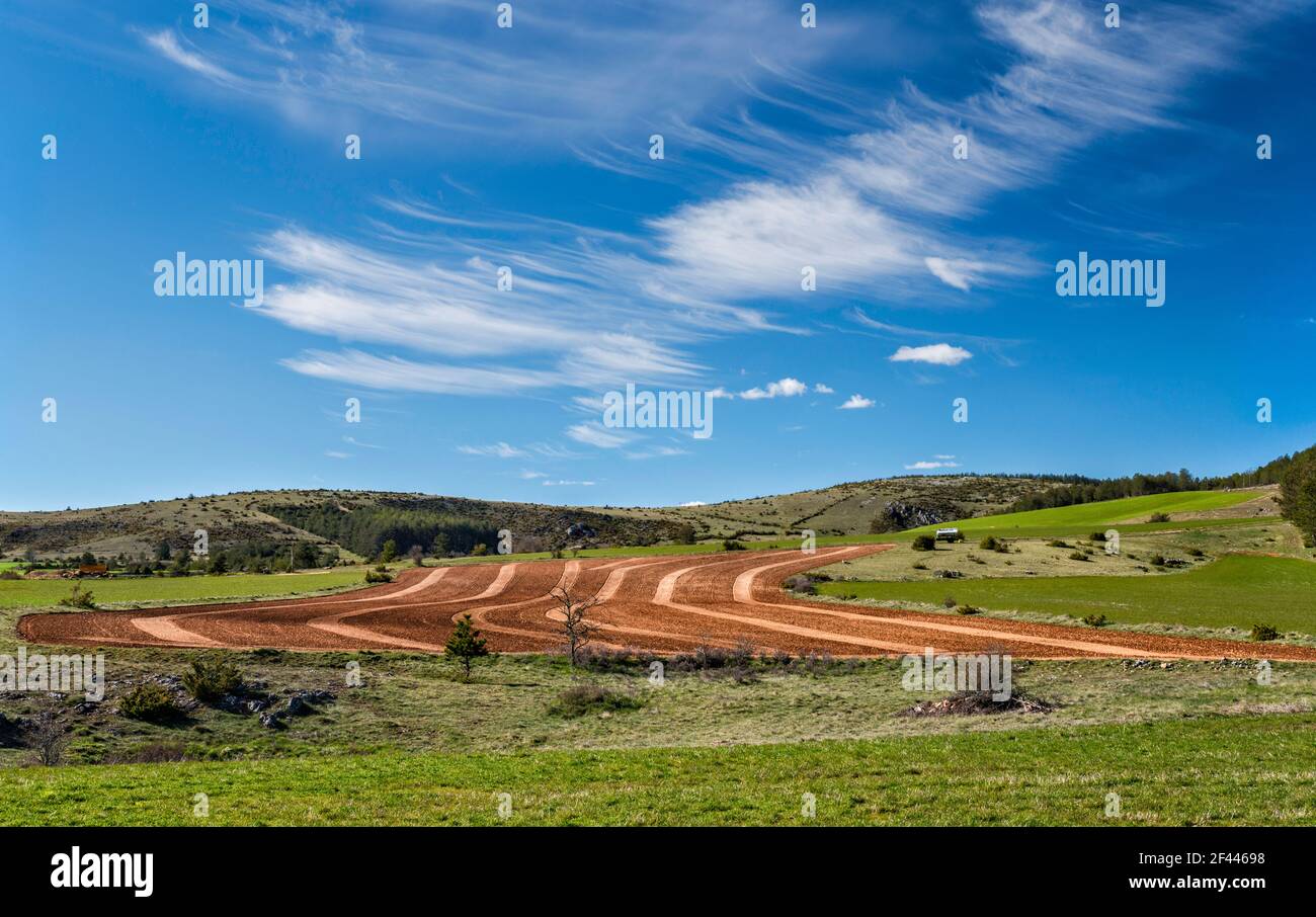 Pflügefeld bei Doline, Zirruswolken, Blick von der Straße D16, auf Causse Mejean Plateau, Massif Central, Lozere Department, Region Okzitanien, Frankreich Stockfoto