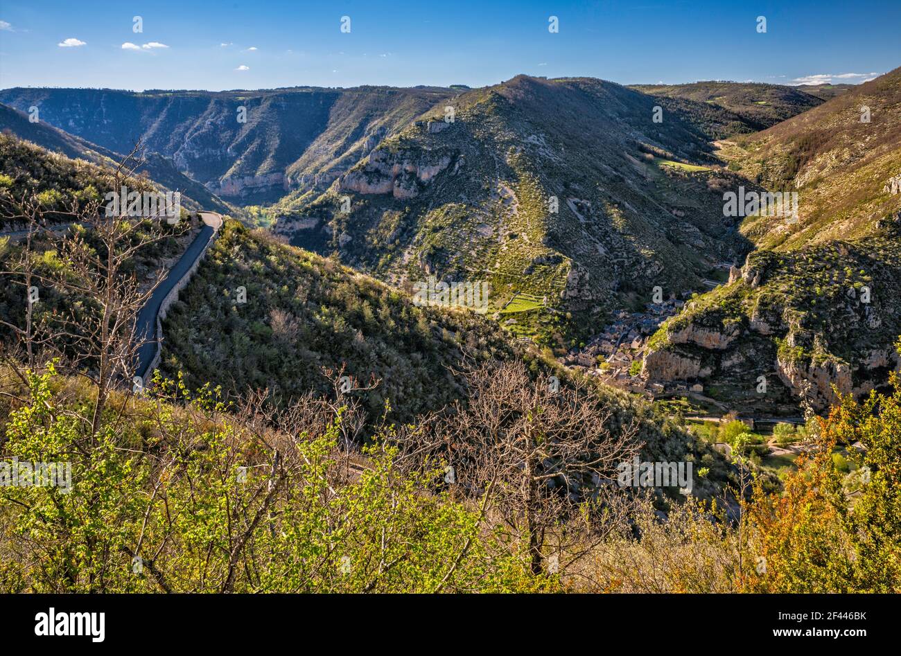 Gorges du Tarn, Blick von der Straße D43, in der Nähe von Dorf La Malene, Fluss Tarn, am späten Abend, Gemeinde im Département Lozere, Region Okzitanien, Frankreich Stockfoto