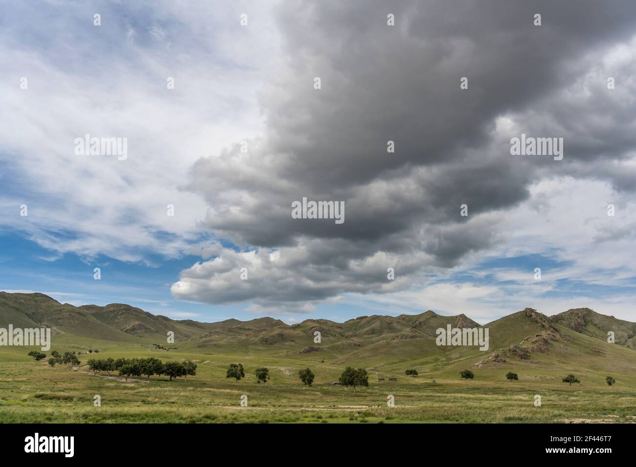 Bäume in der Steppe in der Mongolei mit dunklen Regenwolken und Bergen. Stockfoto
