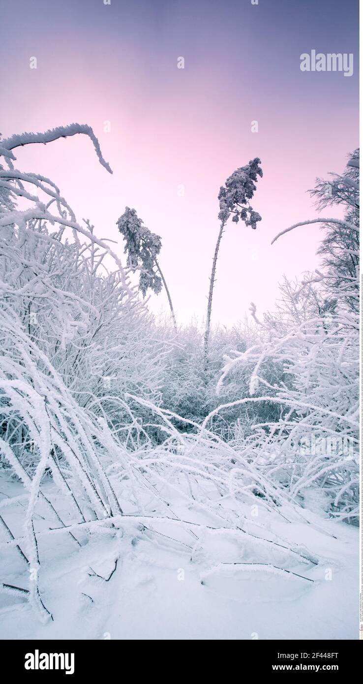 Geographie / Reisen, Deutschland, Franken, Nürnberg, Winter, Additional-Rights-Clearance-Info-Not-Available Stockfoto