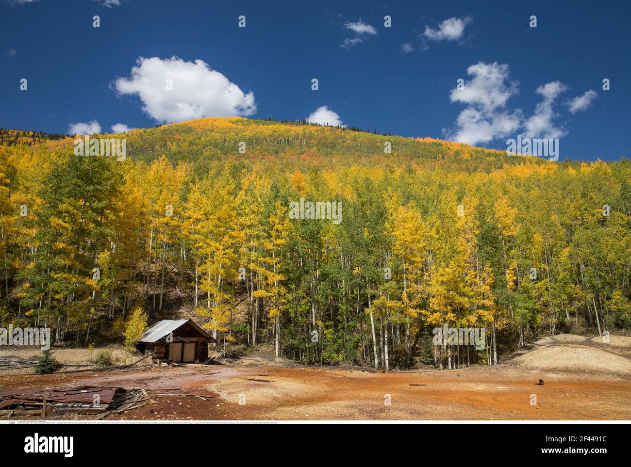 Geographie / Reisen, USA, Colorado, Rocky Mountains, Sommer, Additional-Rights-Clearance-Info-Not-Available Stockfoto