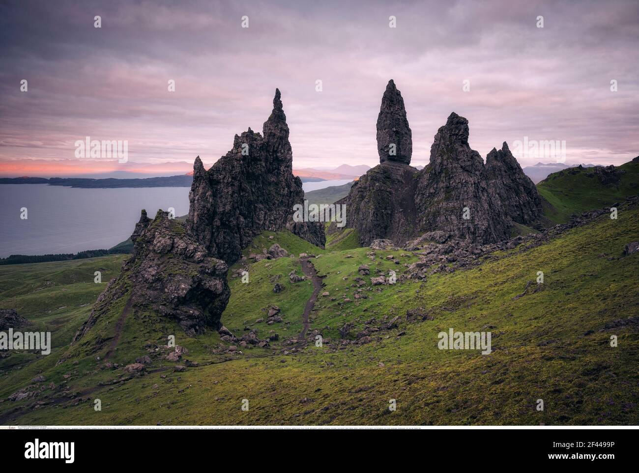 Geographie / Reisen, Großbritannien, Schottland, Old One of Storr, die Isle of Skye, Sommer, Additional-Rights-Clearance-Info-not-available Stockfoto