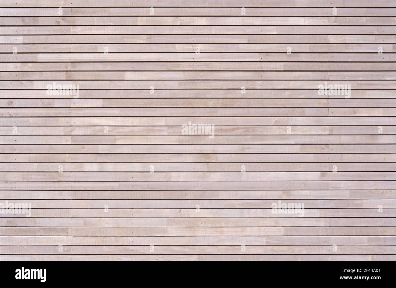 Neue Holzwand aus horizontalen Lattenleisten mit kleinen Schrauben Stockfoto