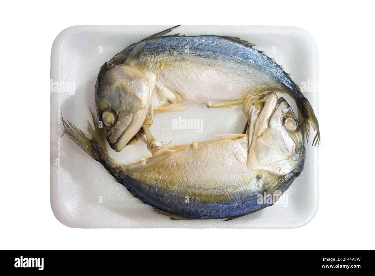 Gestreamte Makrele, Makrelenfisch in Plastikverpackung. Stockfoto
