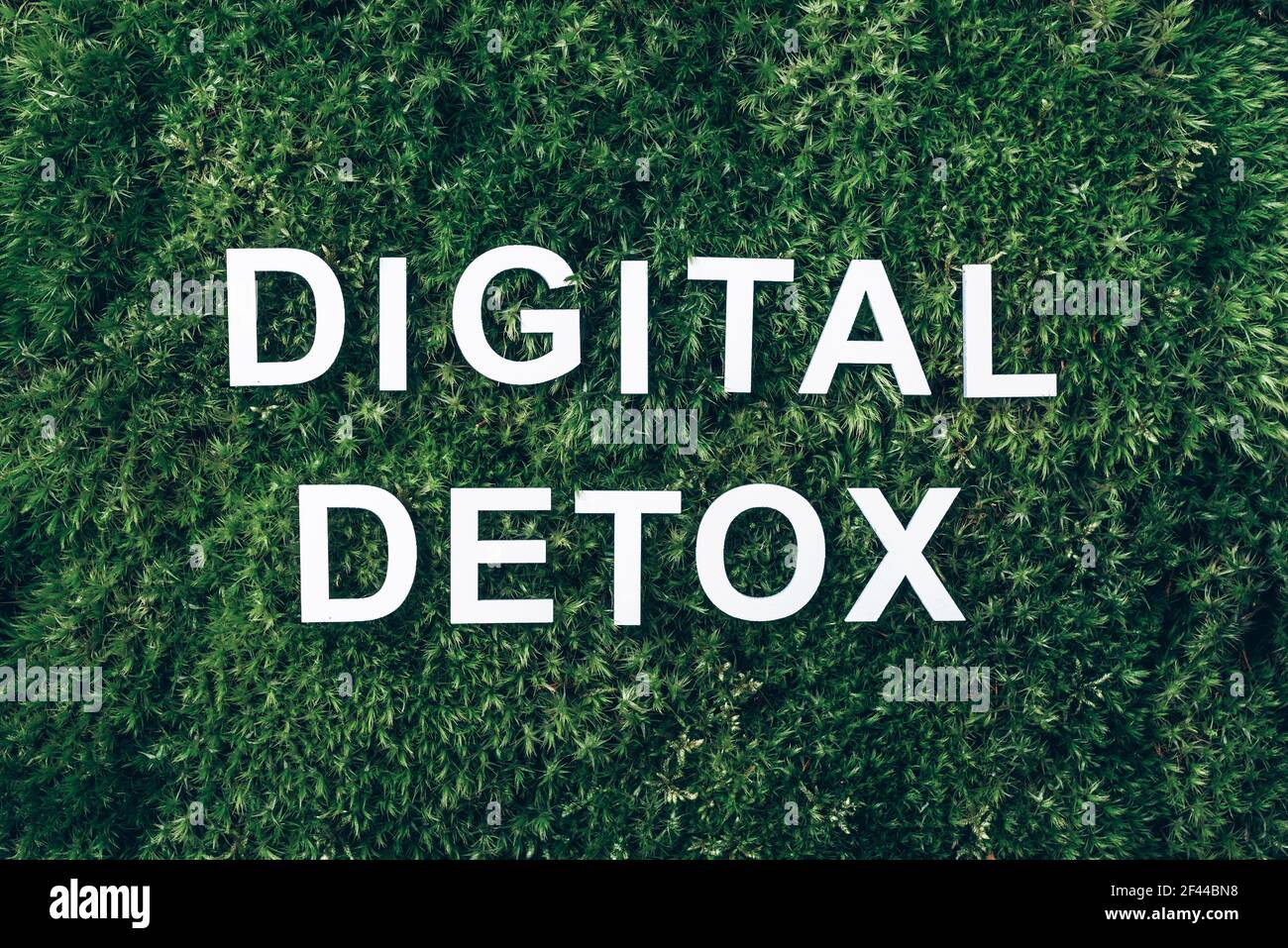 Inschrift Digital Detox auf Moos, grünes Gras Hintergrund. Draufsicht. Speicherplatz kopieren. Banner. Biophilie-Konzept. Naturkulisse. Digitale Entgiftung. Frei von Stockfoto