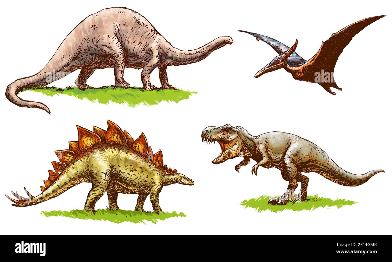 picture Dinosaurier Bilder Zum Ausdrucken Farbig https www alamy de dinosaurier brontosaurus pterodactylus stegosaurus und tyrannosaurus satz von farbigen abbildungen image415608391 html