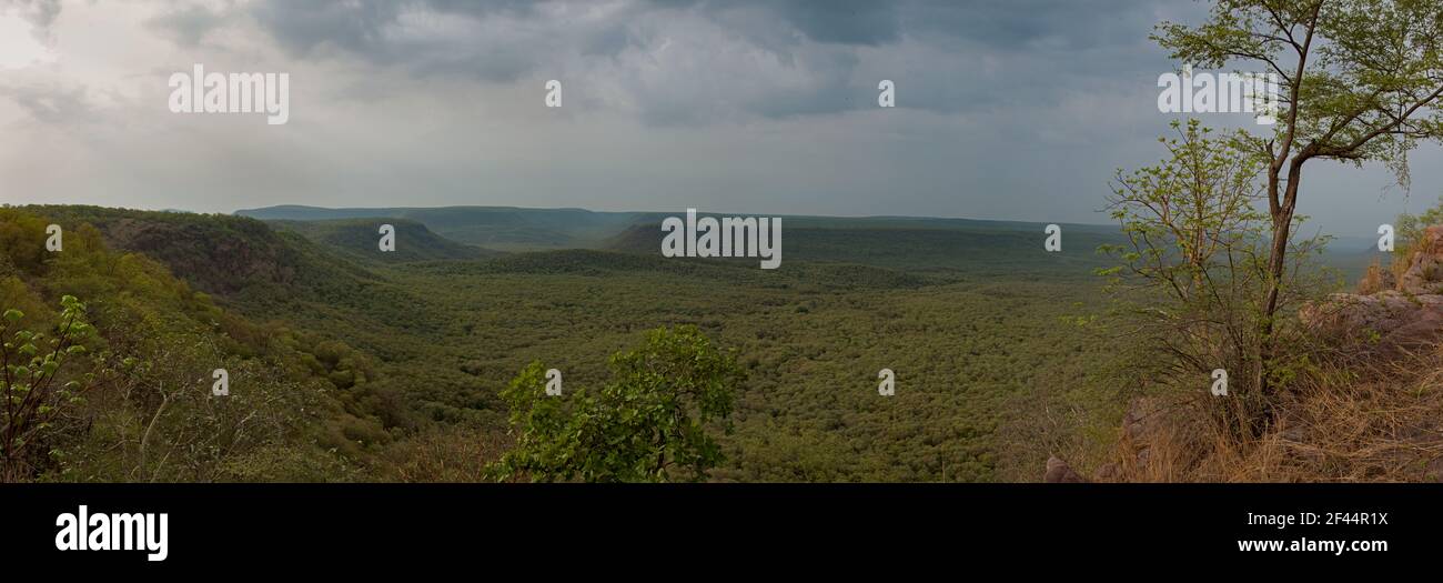 Grüne Wälder, Ranthambore National Park, Wildlife Sanctuary, Ranthambhore, Sawai Madhopur, Rajasthan, Indien, Asien Stockfoto