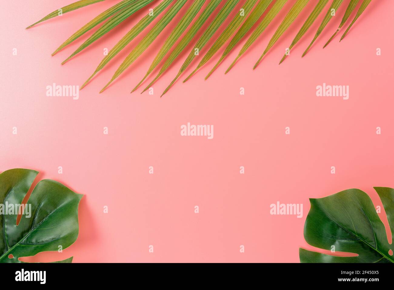 Palmenblätter auf rosa Hintergrund. Kreatives Minimal-Sommerkonzept. Stockfoto