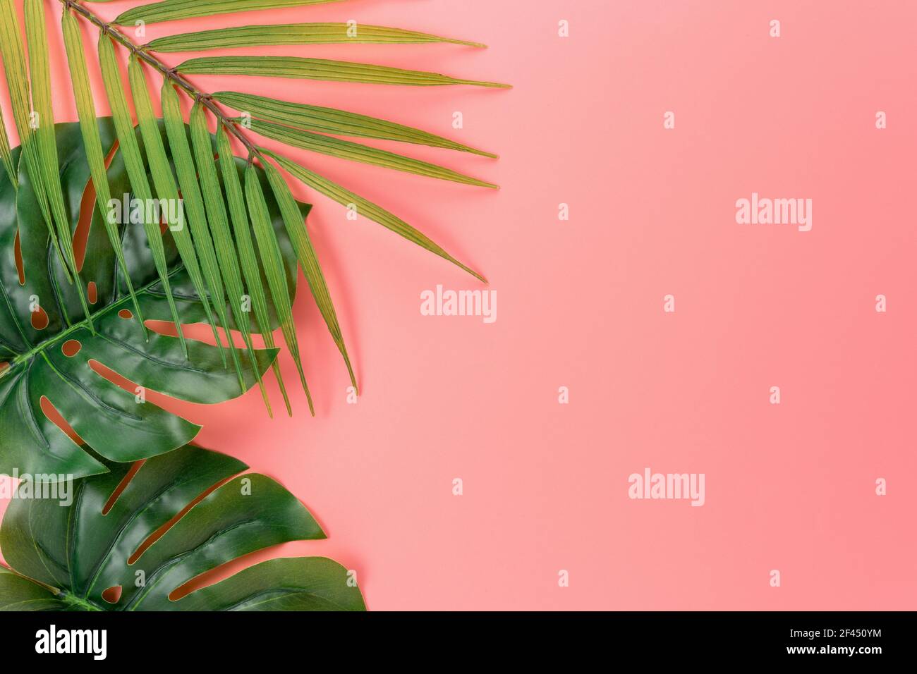 Palmenblätter auf rosa Hintergrund. Kreatives Minimal-Sommerkonzept. Stockfoto