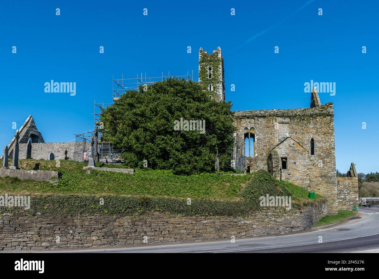 Timoleague, West Cork, Irland. März 2021, 19th. Timoleague Abbey sonnt sich an einem heißen, sonnigen Tag in West Cork in der Sonne. Quelle: AG News/Alamy Live News Stockfoto
