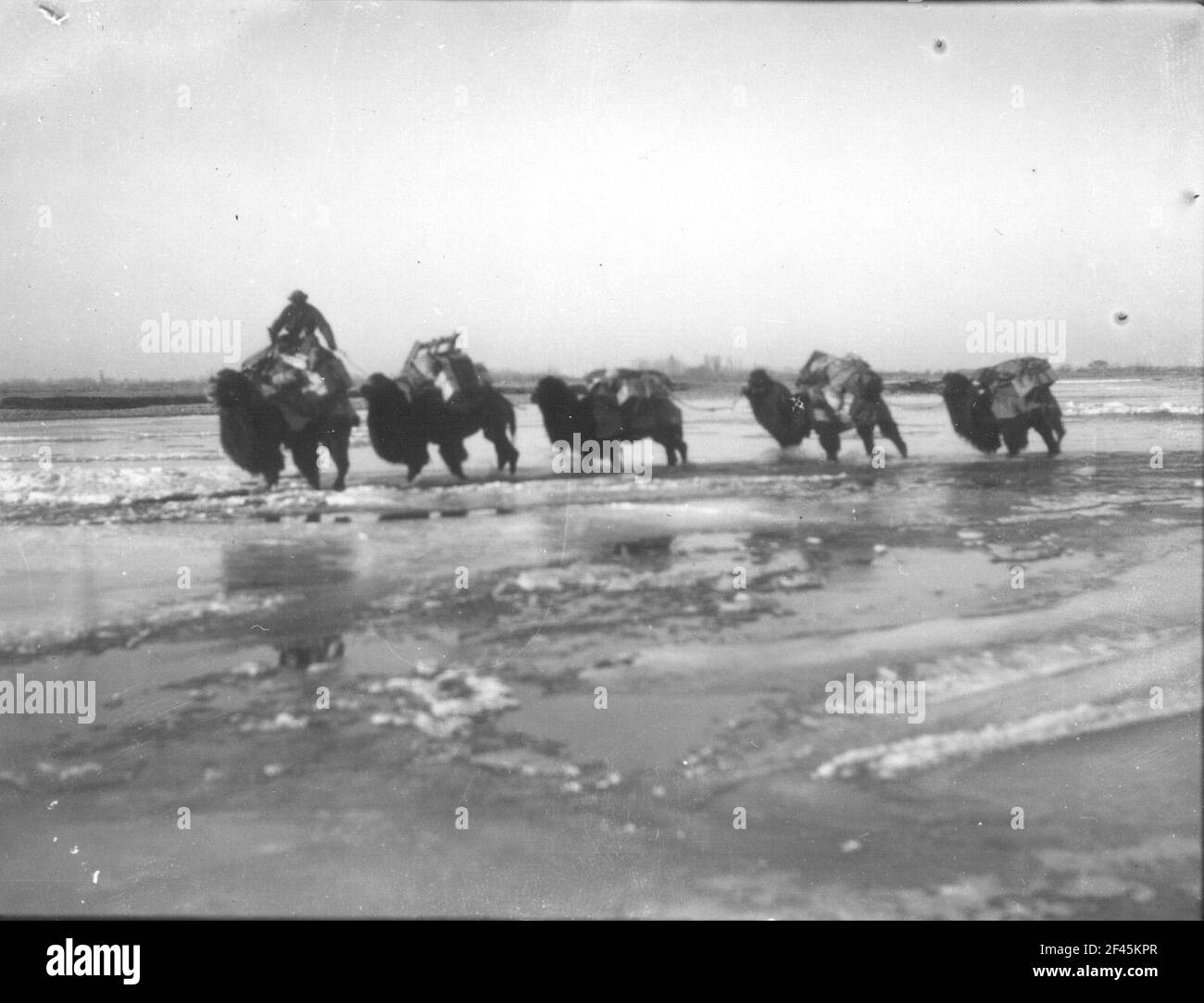 China. Sinkiang (Xinjiang). Takla Makan. Übergang der Expeditionskarawane auf dem Tisnab, Karawanenstraße Jarkend-Chotan Stockfoto