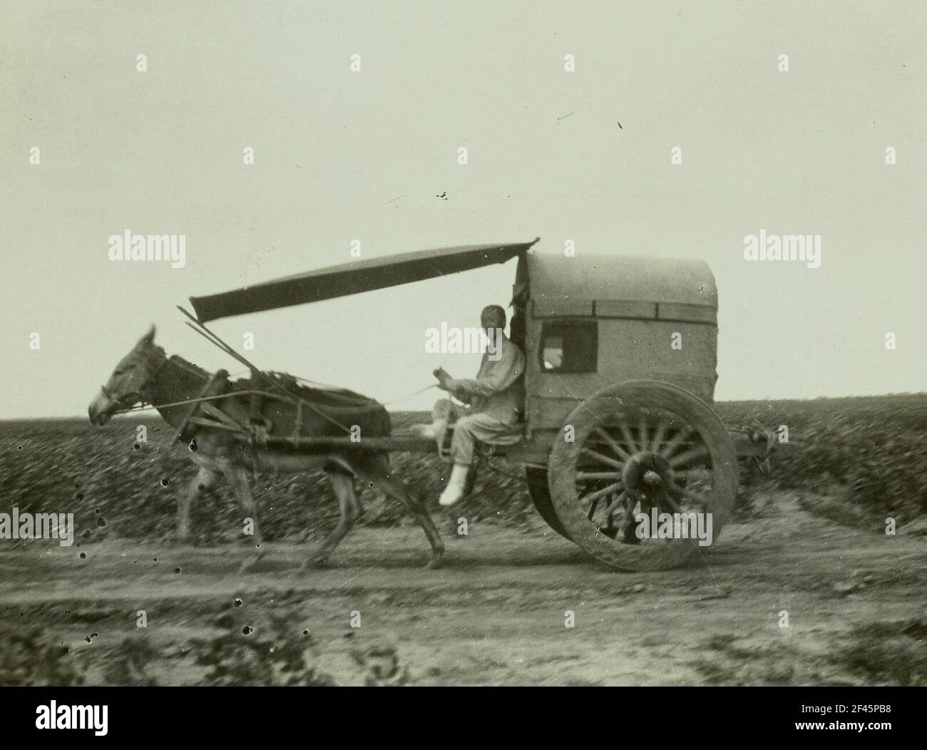 Provinz Sche-Tung (Shaandong), China. Reicewalks (lo is toh) mit matleles pan Stockfoto