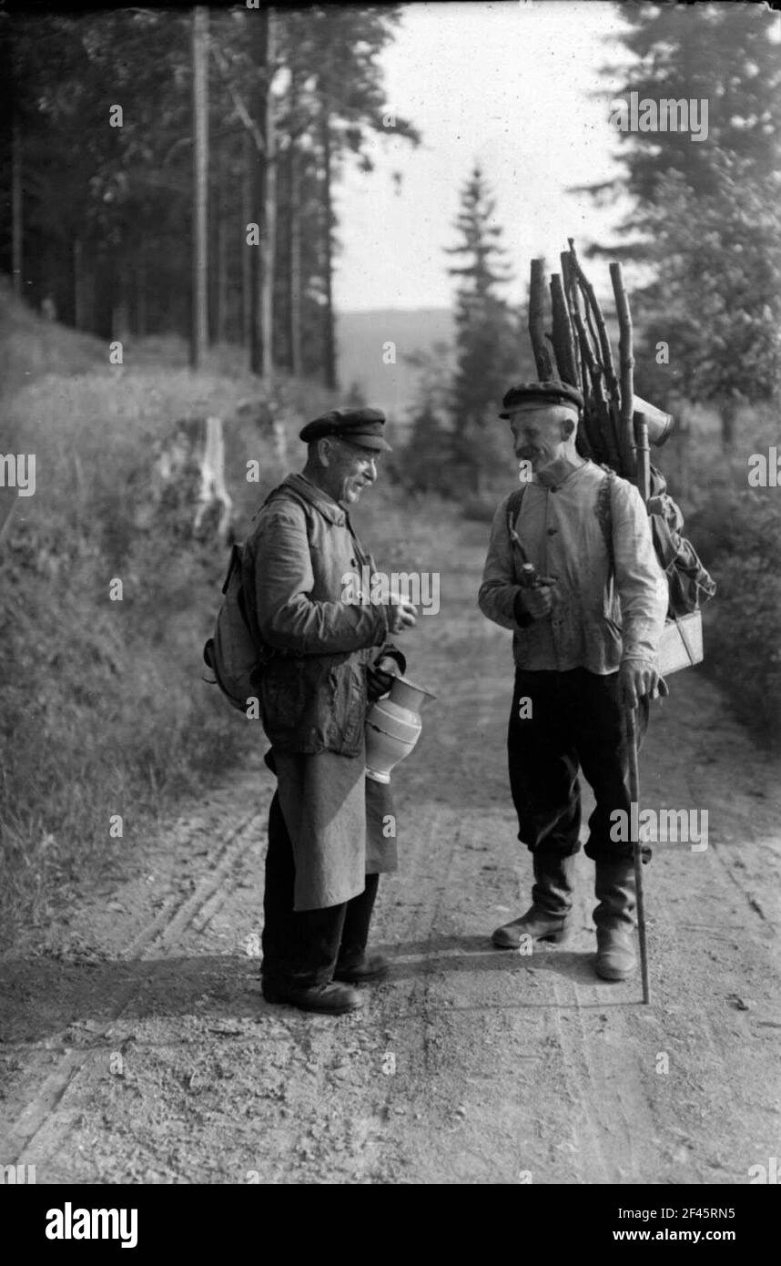 Holzbauer und Beerensammler Stockfoto