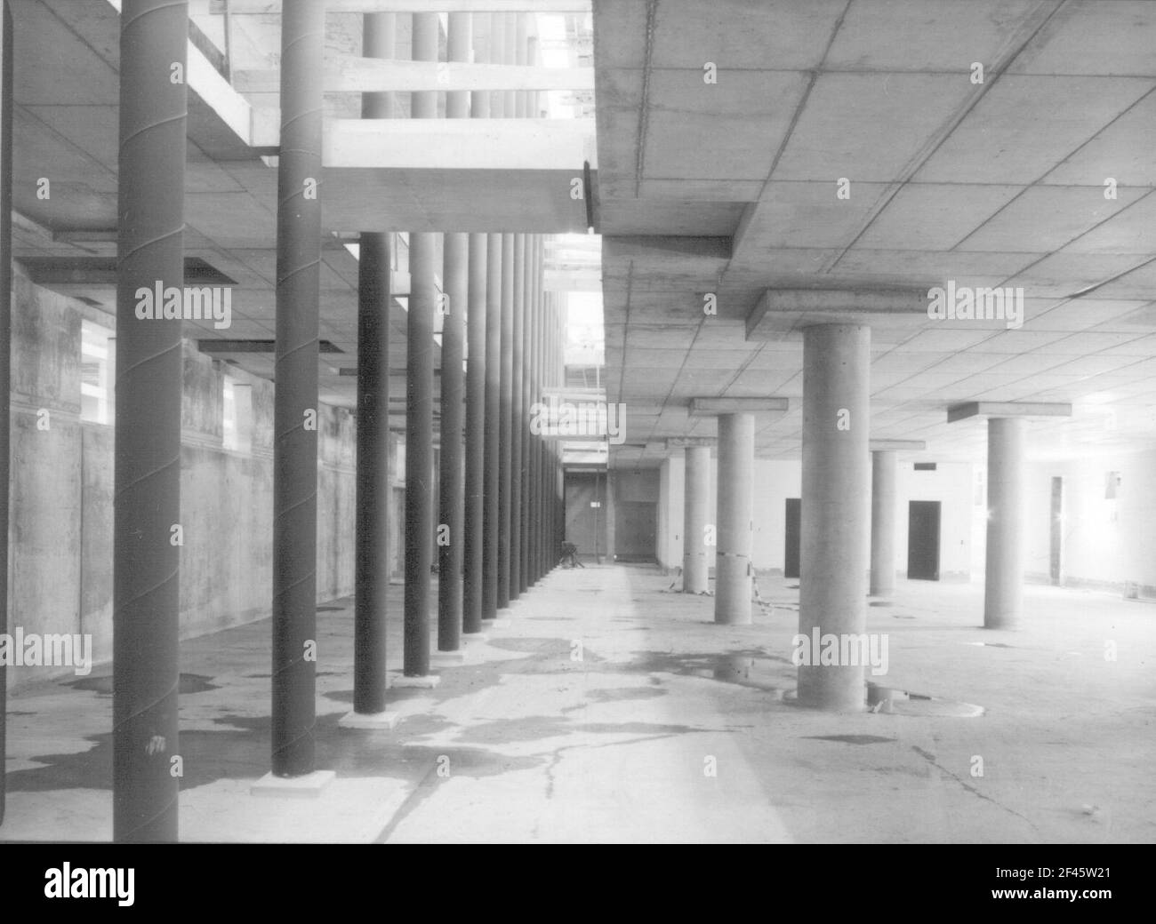 Baustelle Sächsische Landesbibliothek - Staats- und Universitätsbibliothek Dresden, Zentralbibliothek. Rohbau, Ebene -2. Ansicht der Spaltenreihe im zentralen Lesesaal (links) und Freihandbereich mit Stützen Stockfoto